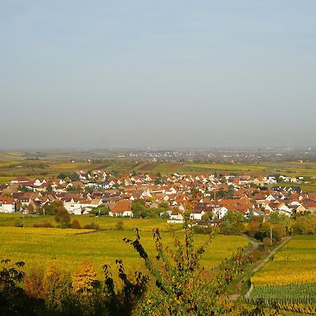Ferienwohnung Knittel คาลล์ชตัดท์ ภายนอก รูปภาพ