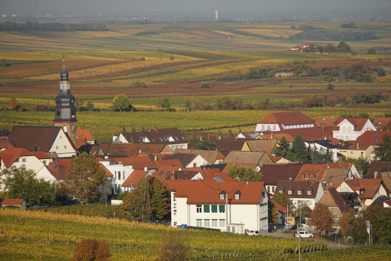 Ferienwohnung Knittel คาลล์ชตัดท์ ภายนอก รูปภาพ